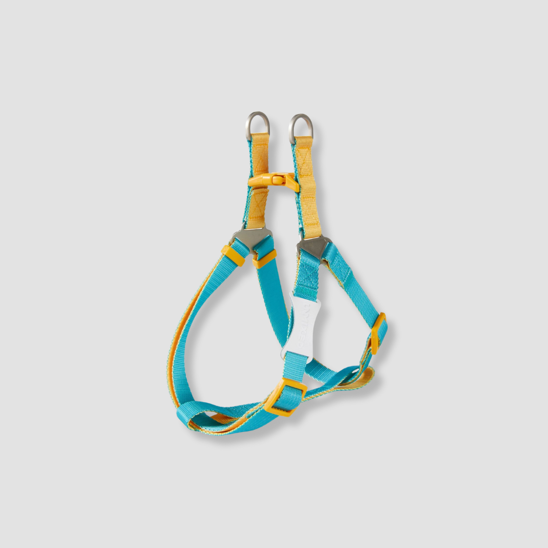 adjustable color block dog harness for walks