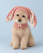 Bunny Boo