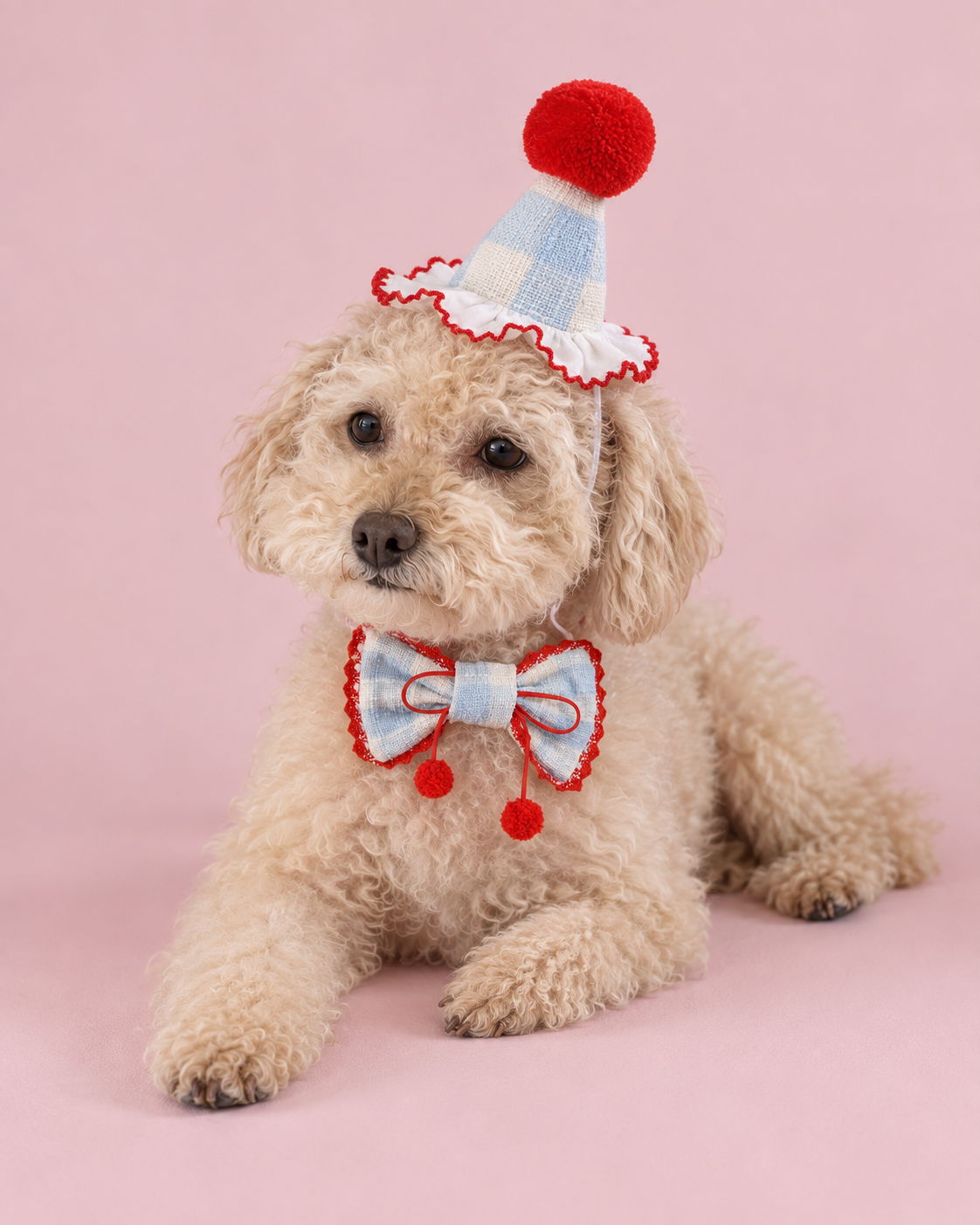 Cheery on Top Party Set