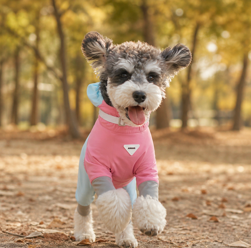 breezeshield outdoor dog jumpsuit