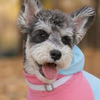 breezeshield outdoor dog jumpsuit