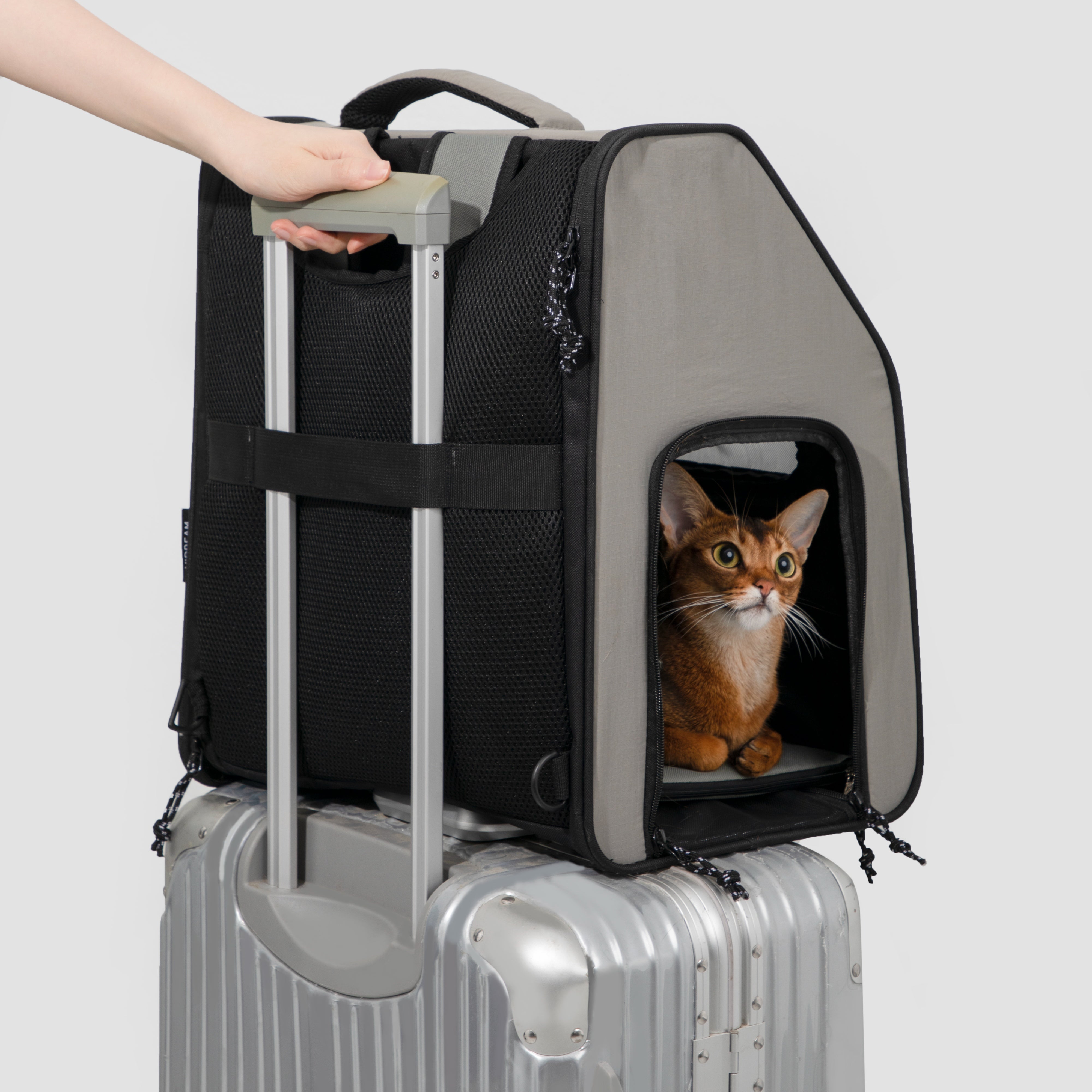 Ultra-Light Structured Pet Backpack Main image