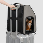 Ultra-Light Structured Pet Backpack