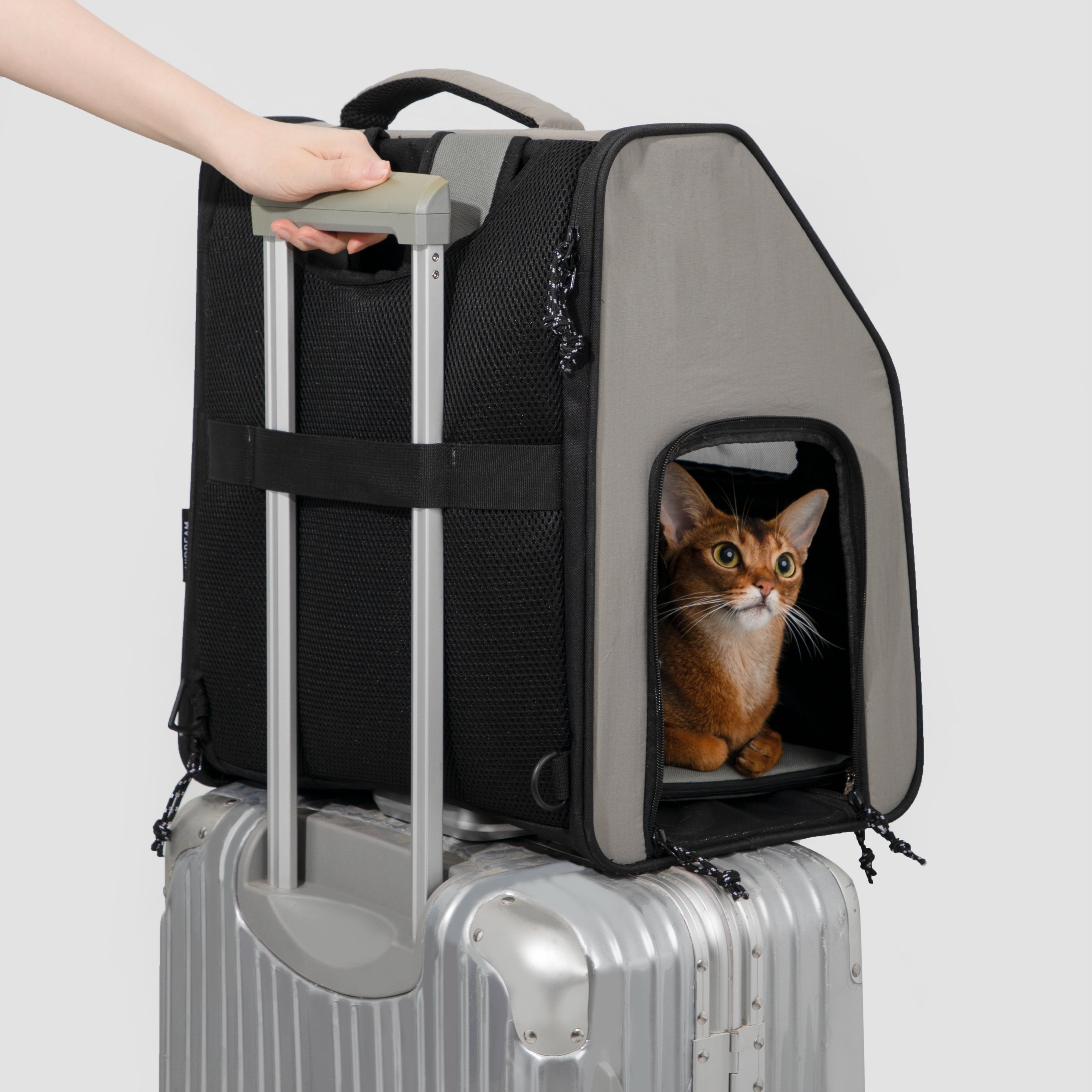 Ultra-Light Structured Pet Backpack