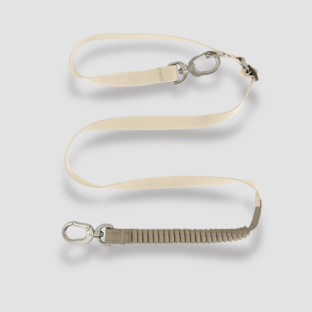 Multi-Use Dog Leash