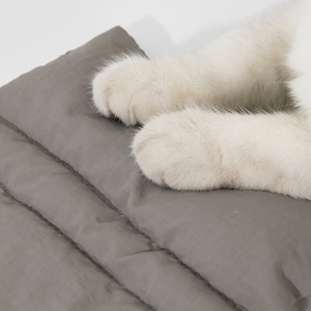 Ultra-Light Structured Pet Backpack