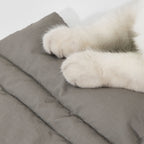 Ultra-Light Structured Pet Backpack