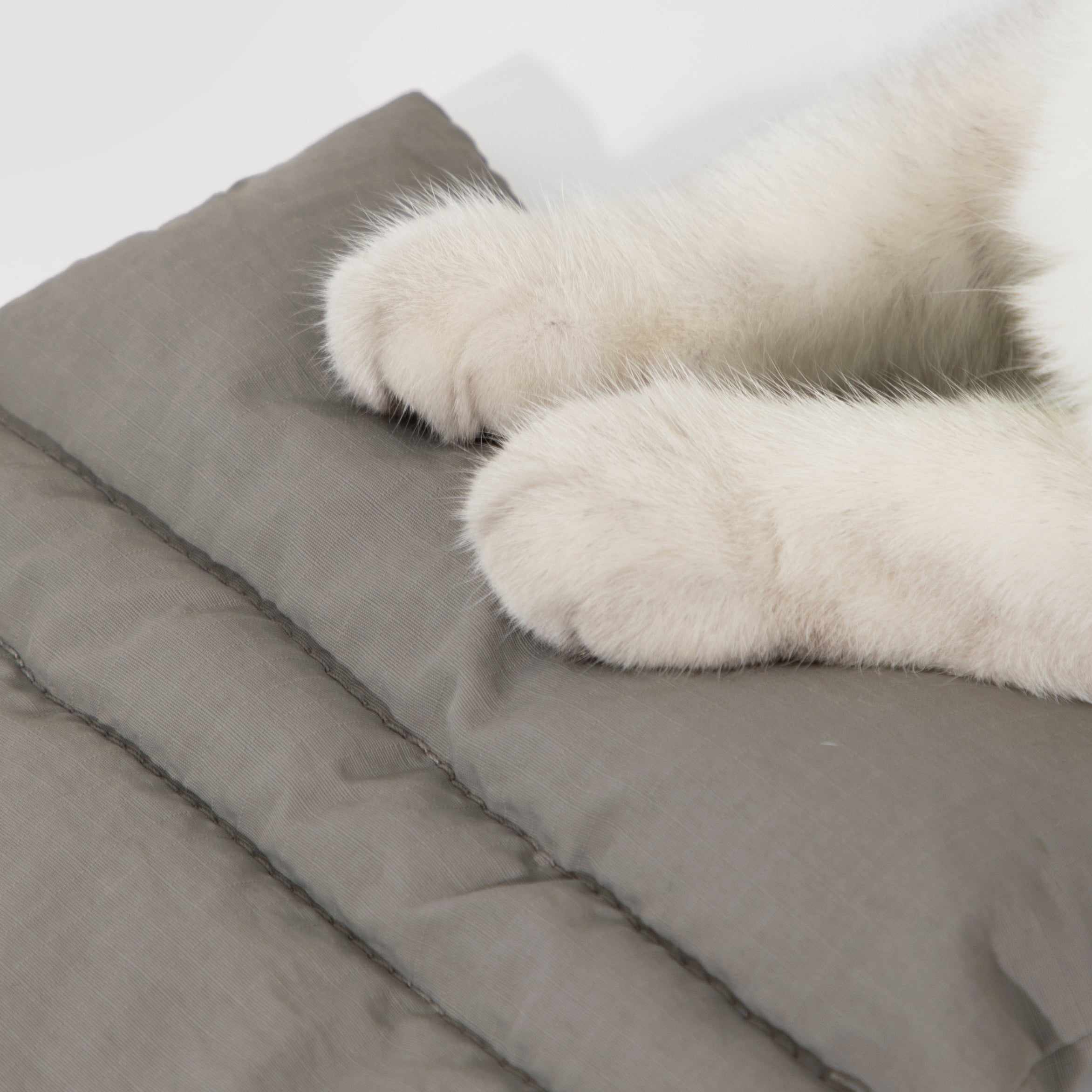 Ultra-Light Structured Pet Backpack