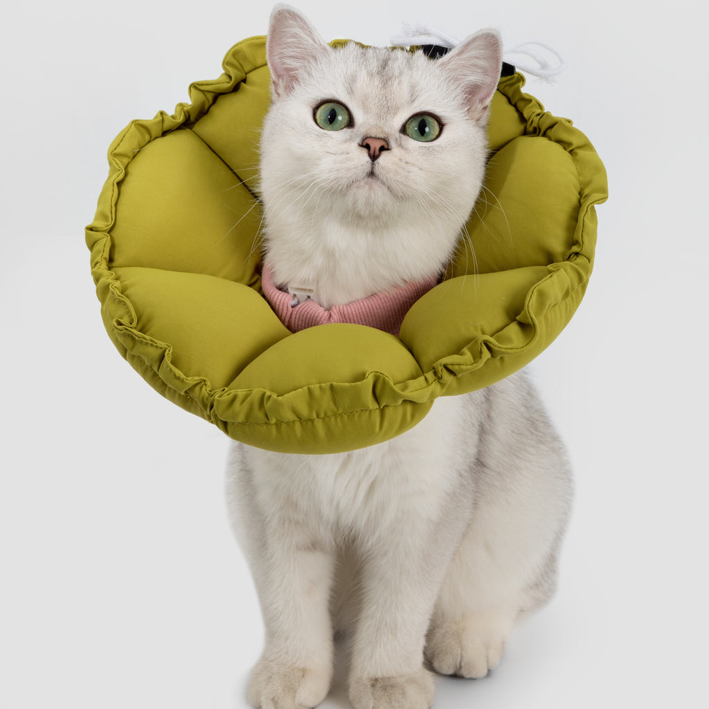 floral padded pet recovery cone collar