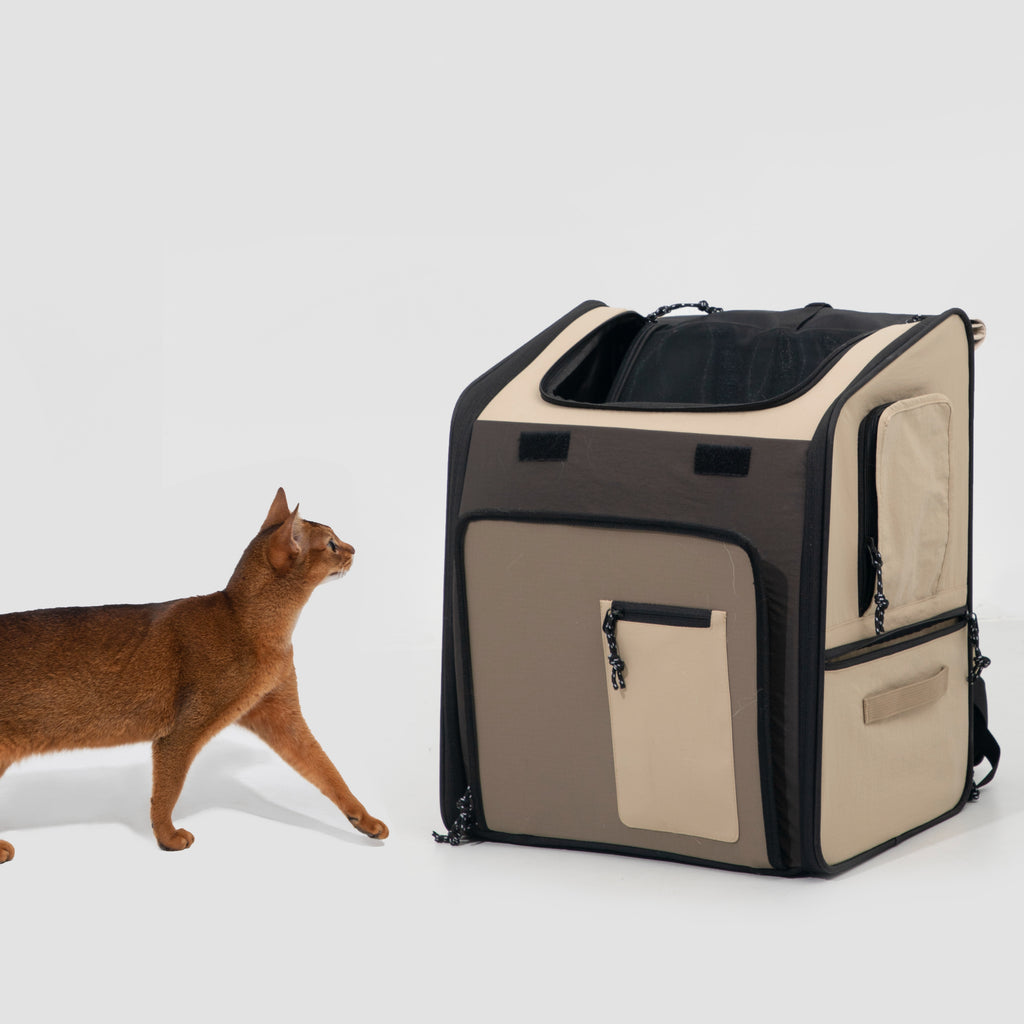 Expandable Pet Travel Backpack