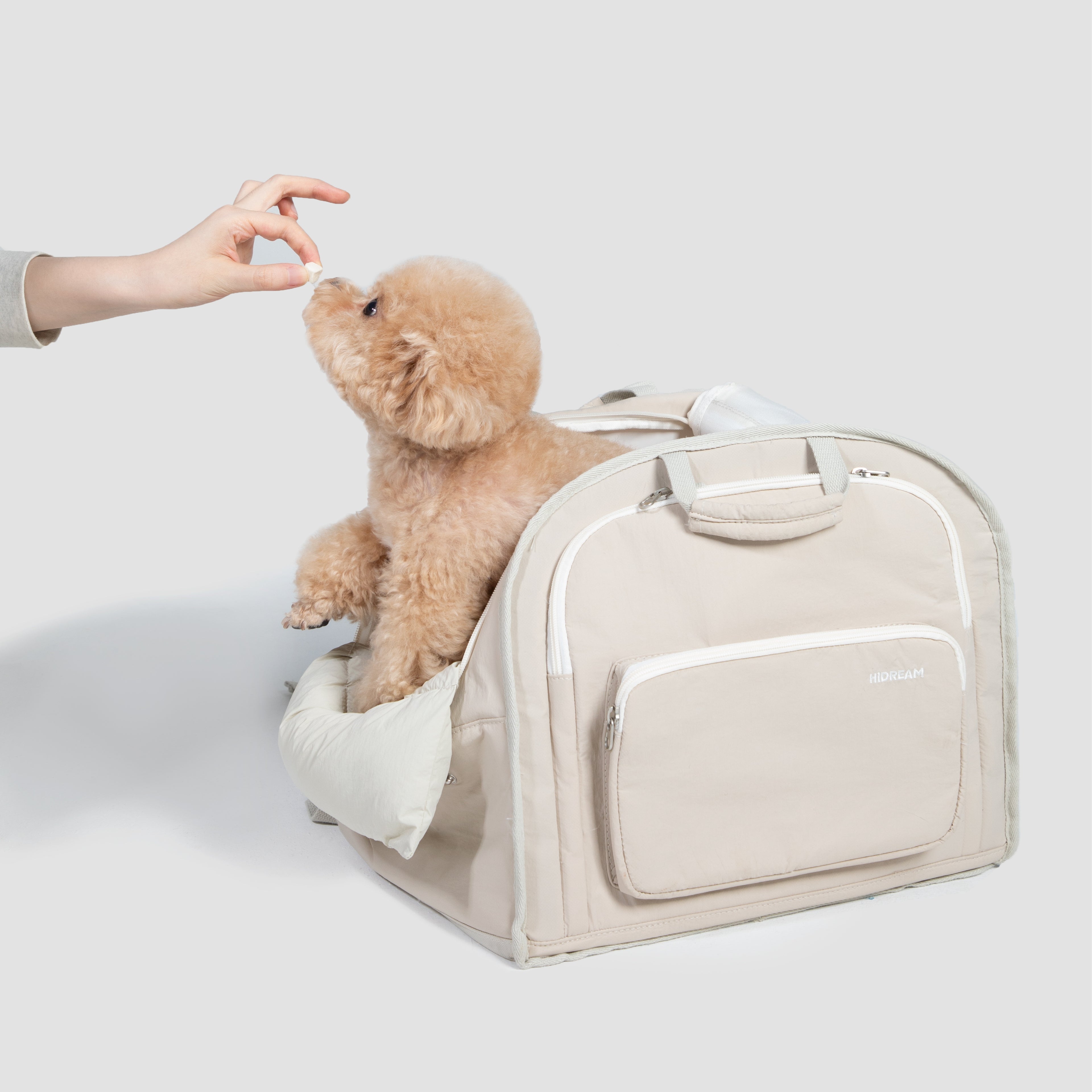 The Toast Pet Backpack