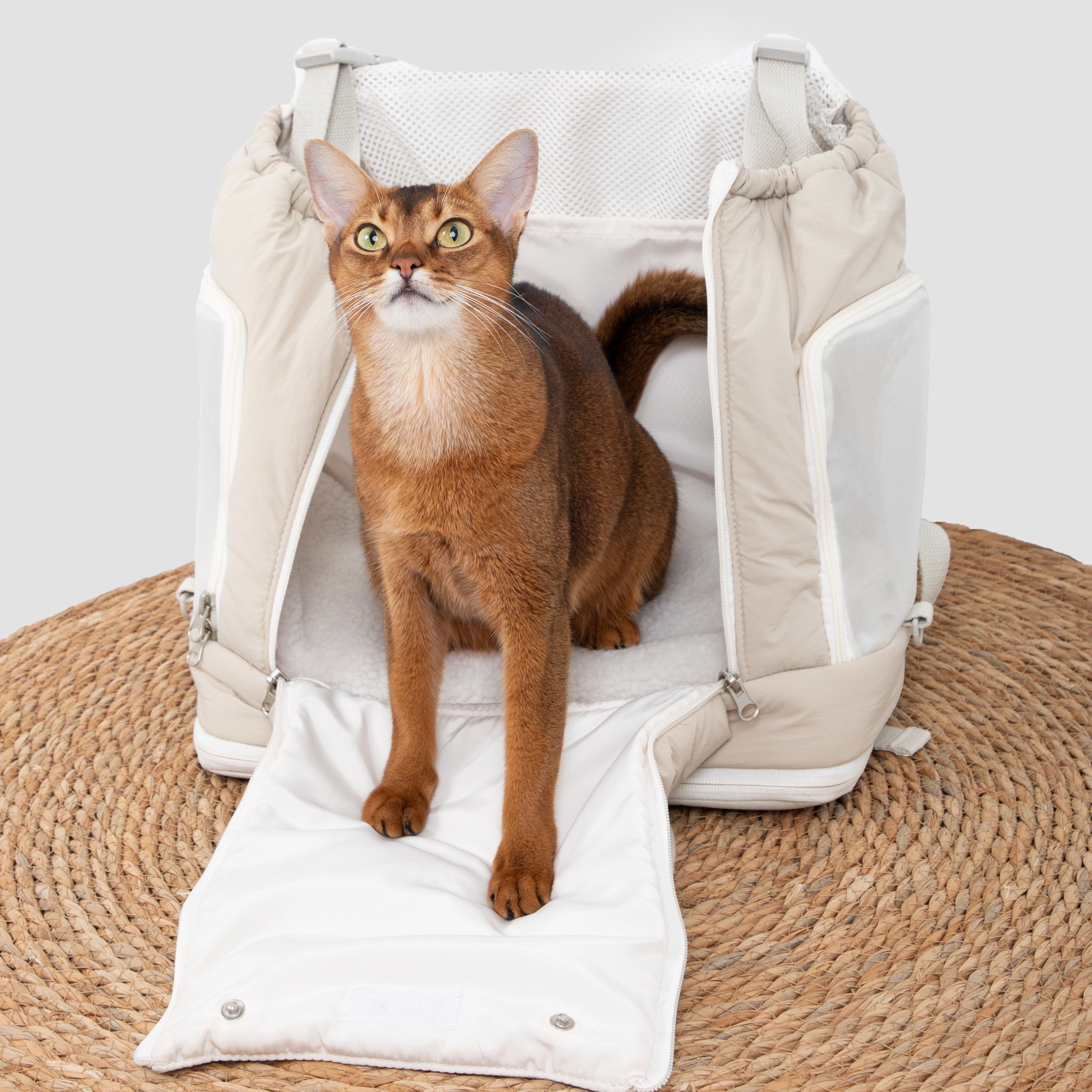 The Toast Pet Front Carrier Backpack Secondary image