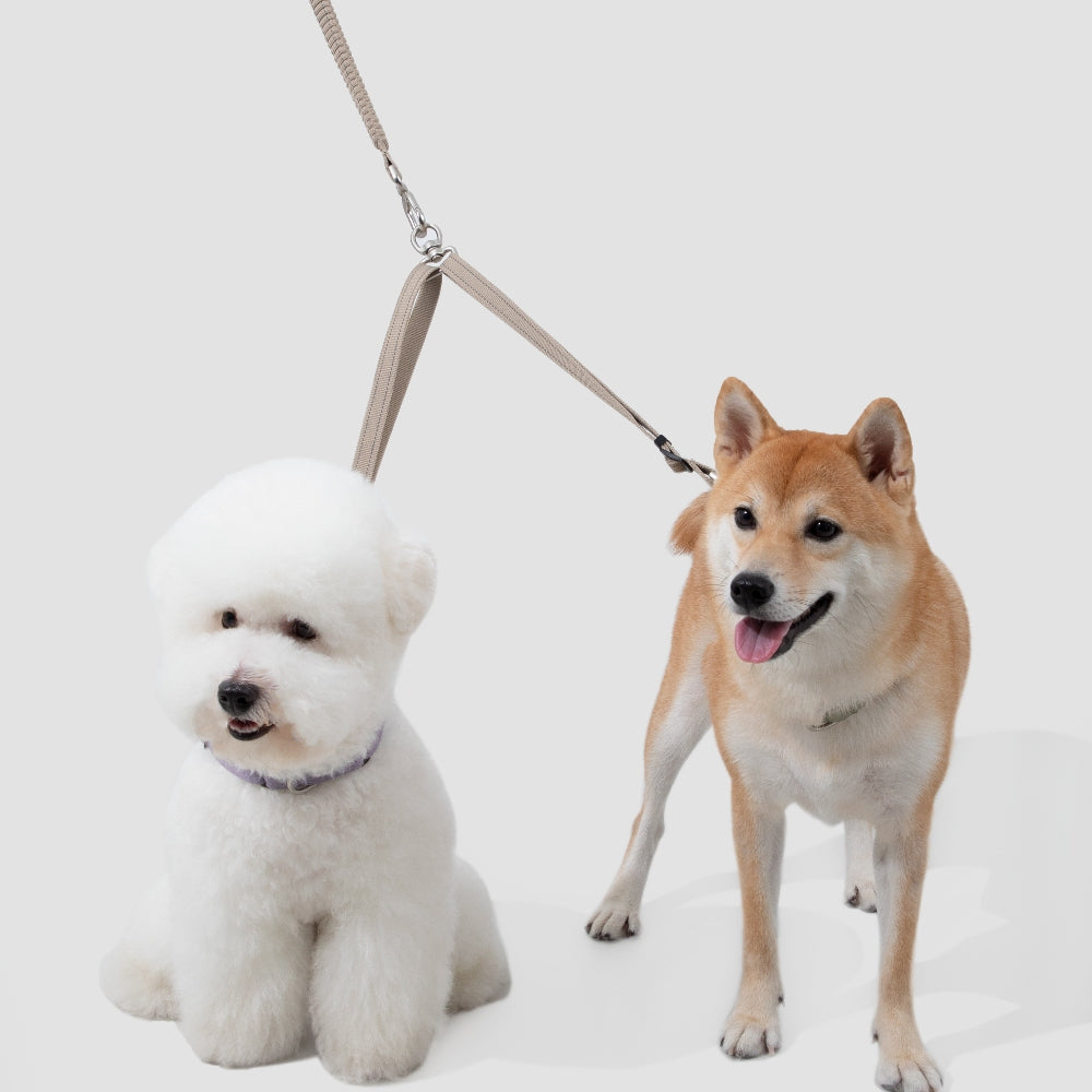 Dual-Clip Adjustable Dog Coupler