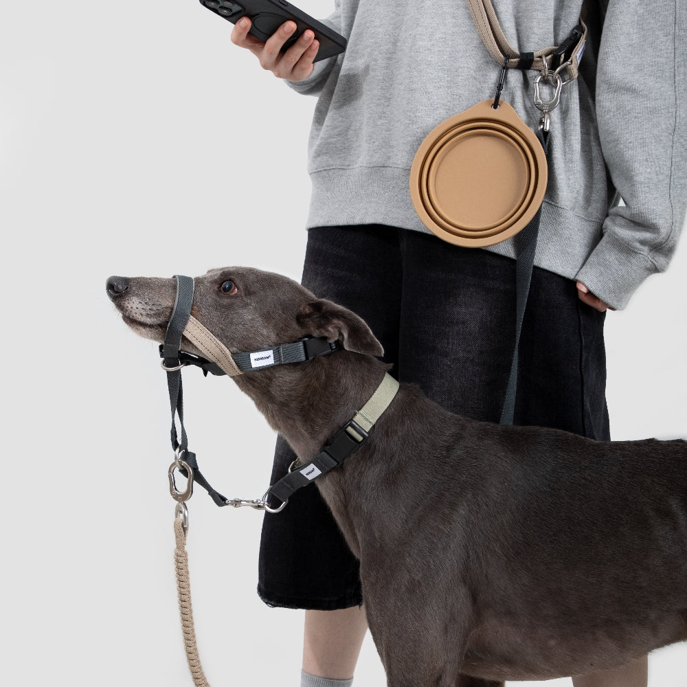 Gentle-Control Dog Harness