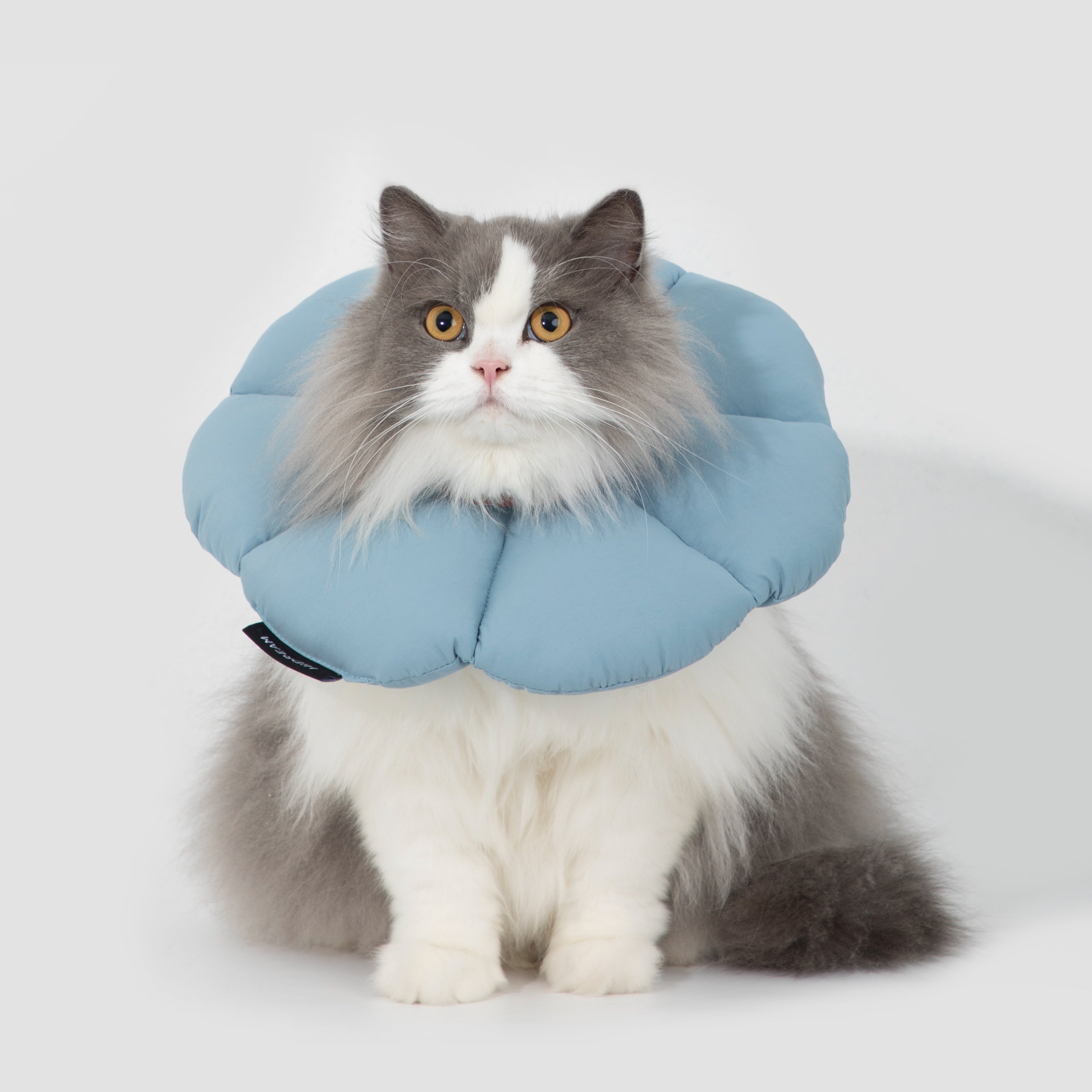 Floral Pet Cone Collar Secondary image