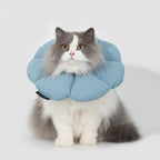 Floral Pet Cone Collar