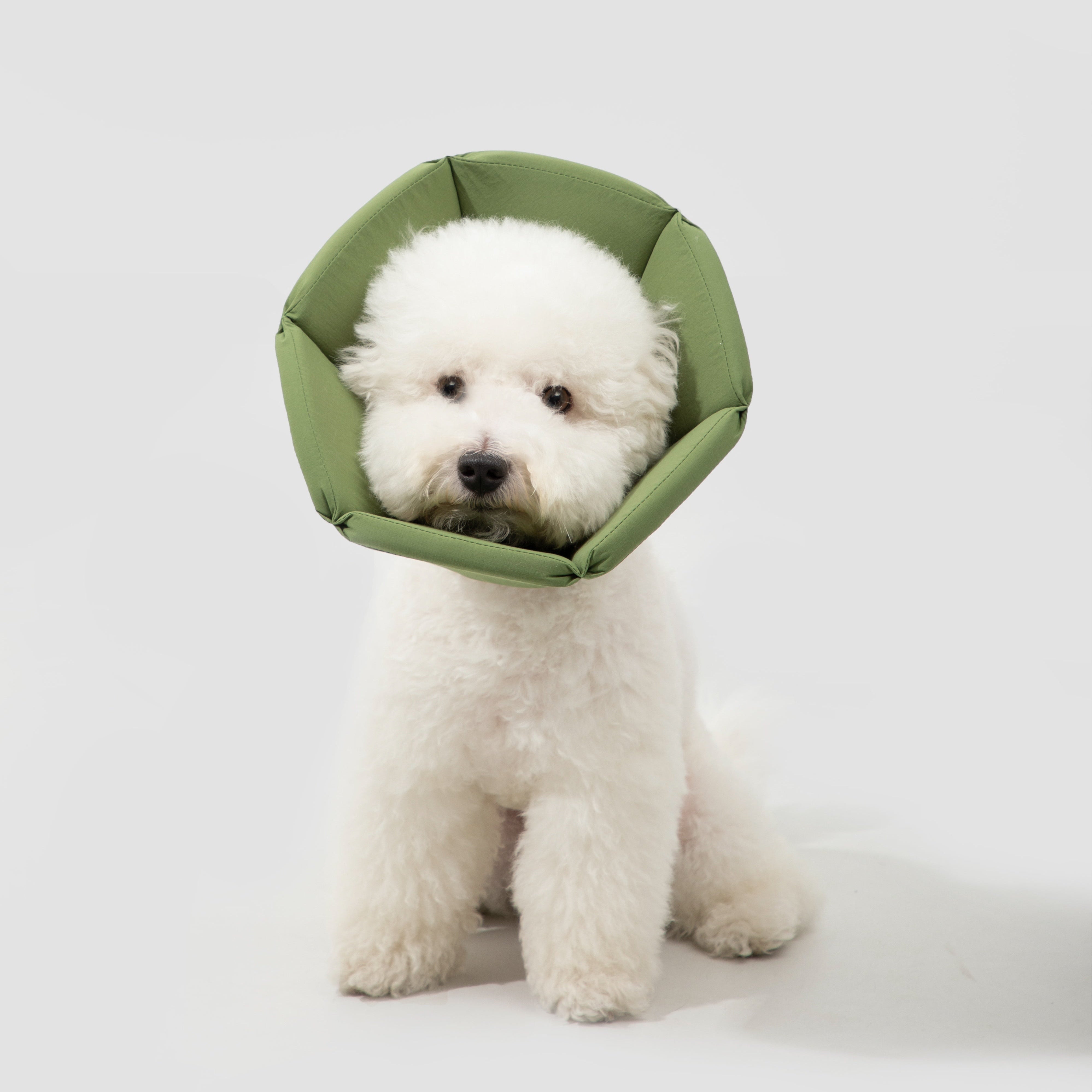 Pet Cone Collar Secondary image