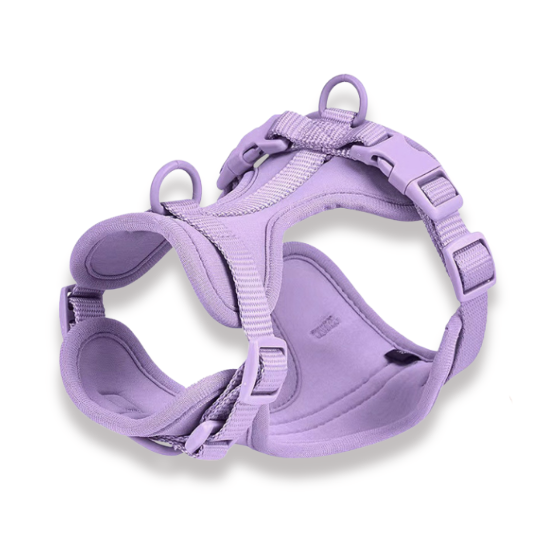 CloudFit Harness