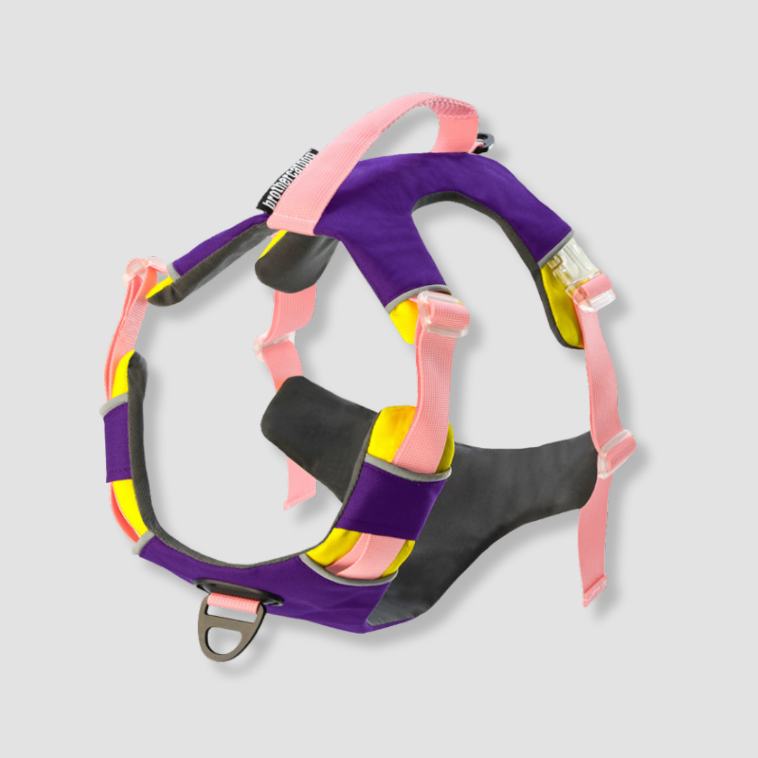 trailflex adjustable outdoor dog harness