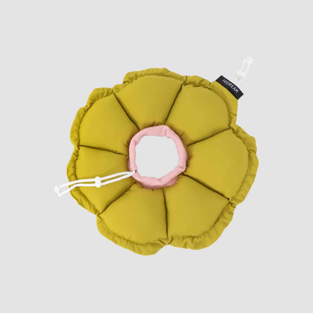 floral padded pet recovery cone collar