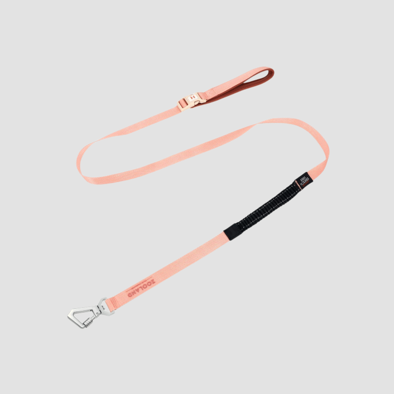 ultra cooling lightweight dog leash for summer walks