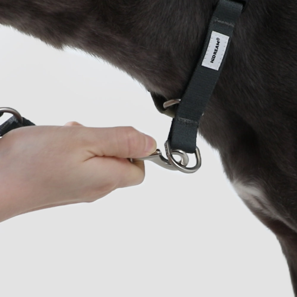 Gentle-Control Dog Harness