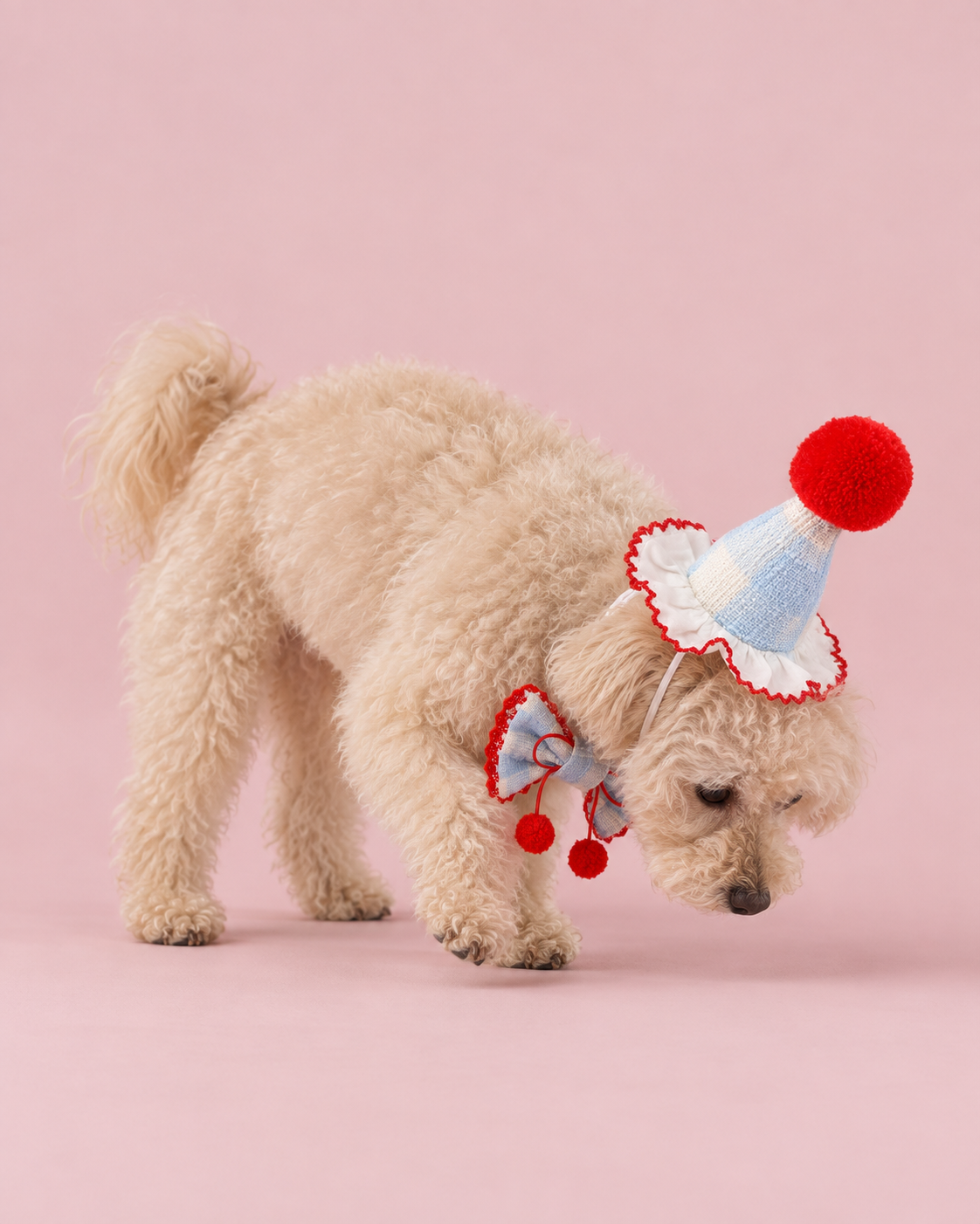 Cheery on Top Party Set