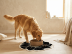 flower shaped waterproof dog bowl mat