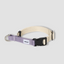 Adjustable Anti-Pull Training Collar