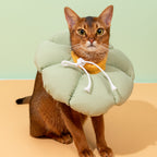 Floral Pet Cone Collar