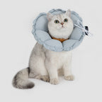 floral padded pet recovery cone collar