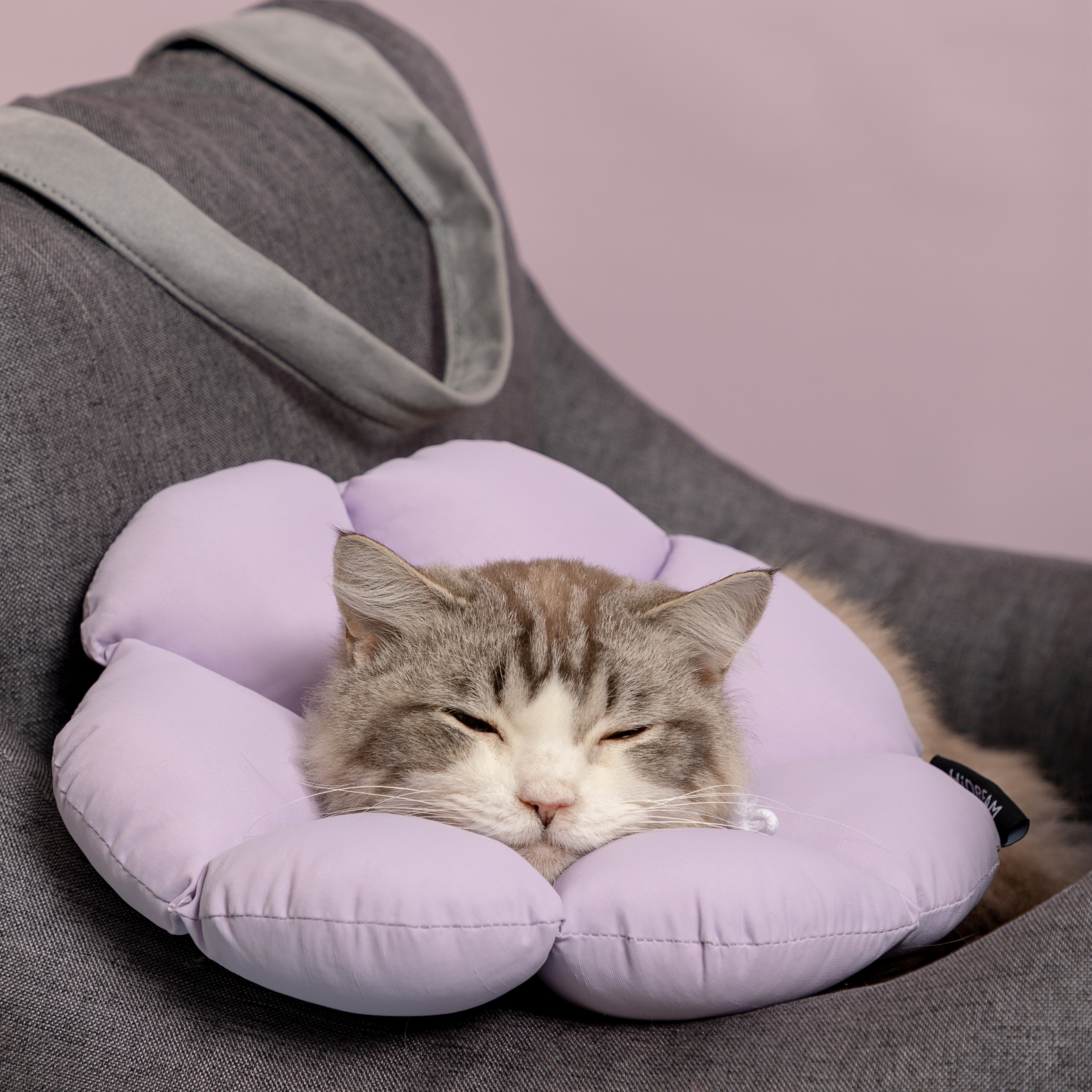 Floral Pet Cone Collar
