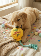 happy birthday dog toy kit with party themed toys