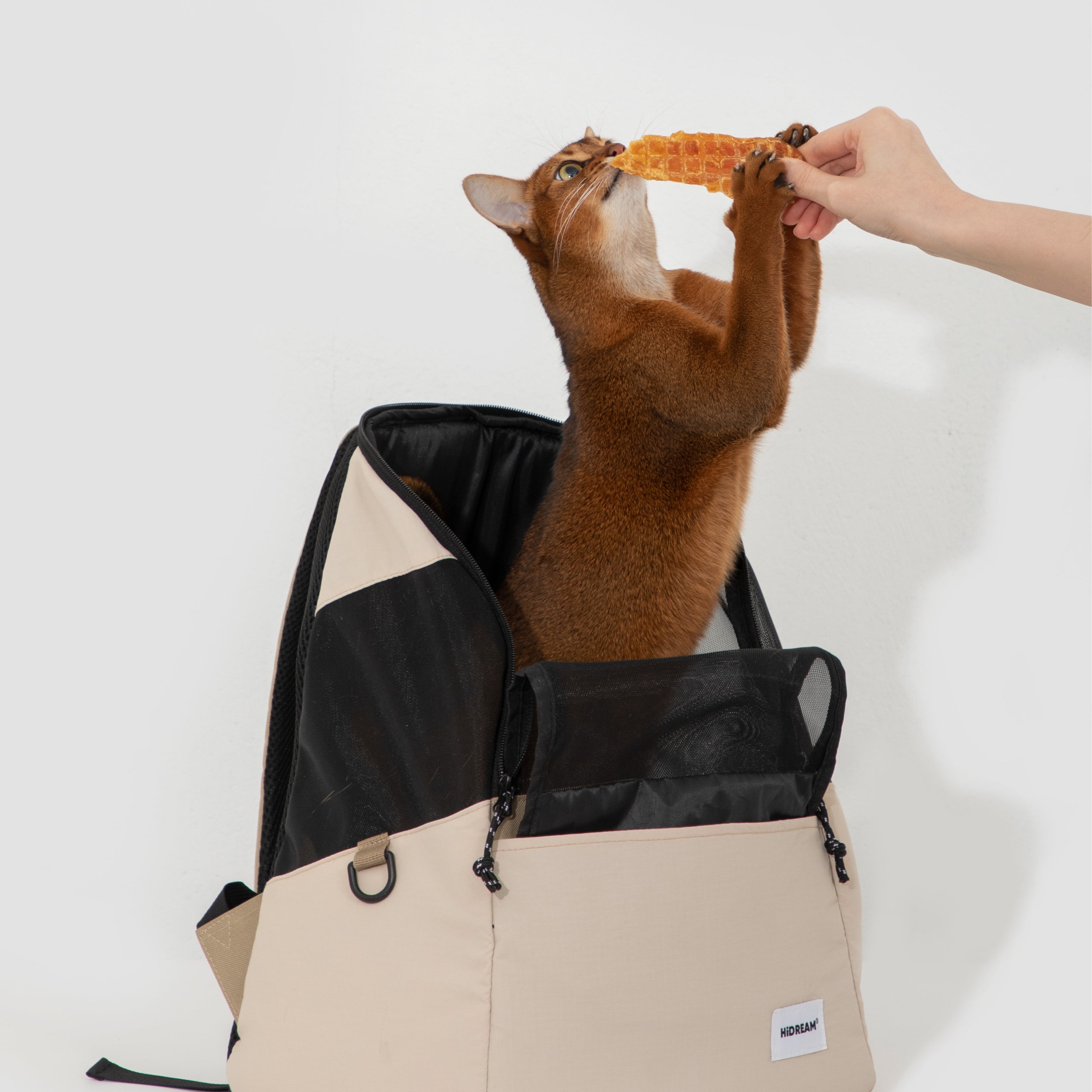 LightEase Backpack Secondary image