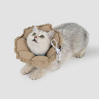 floral padded pet recovery cone collar