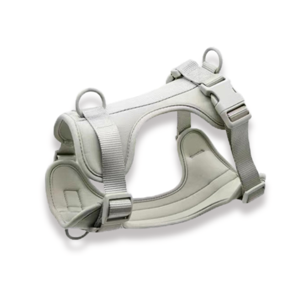 CloudFit Harness