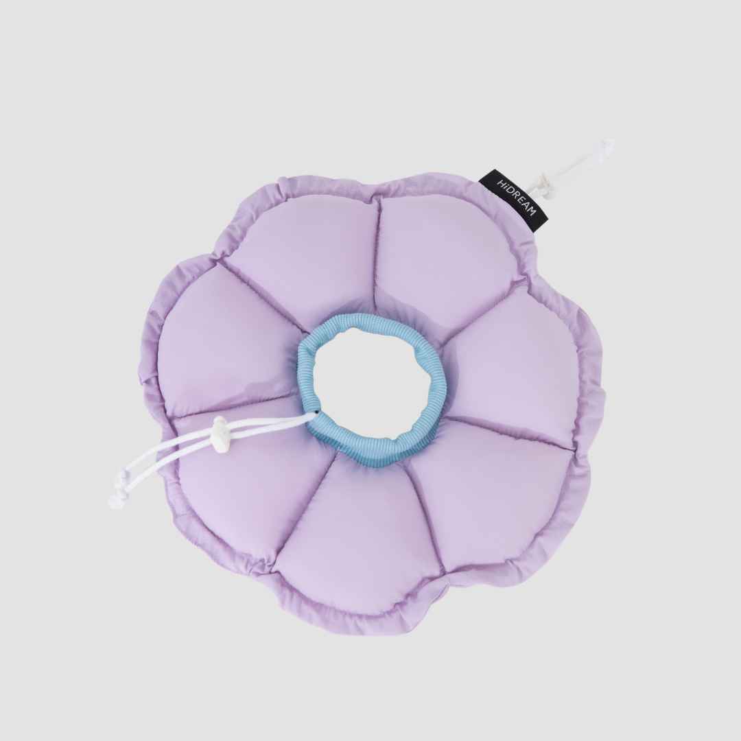 floral padded pet recovery cone collar