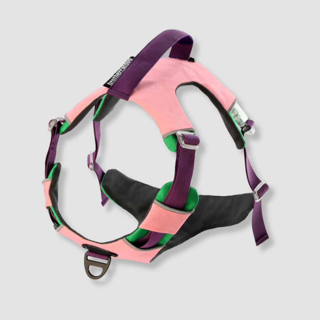 trailflex adjustable outdoor dog harness