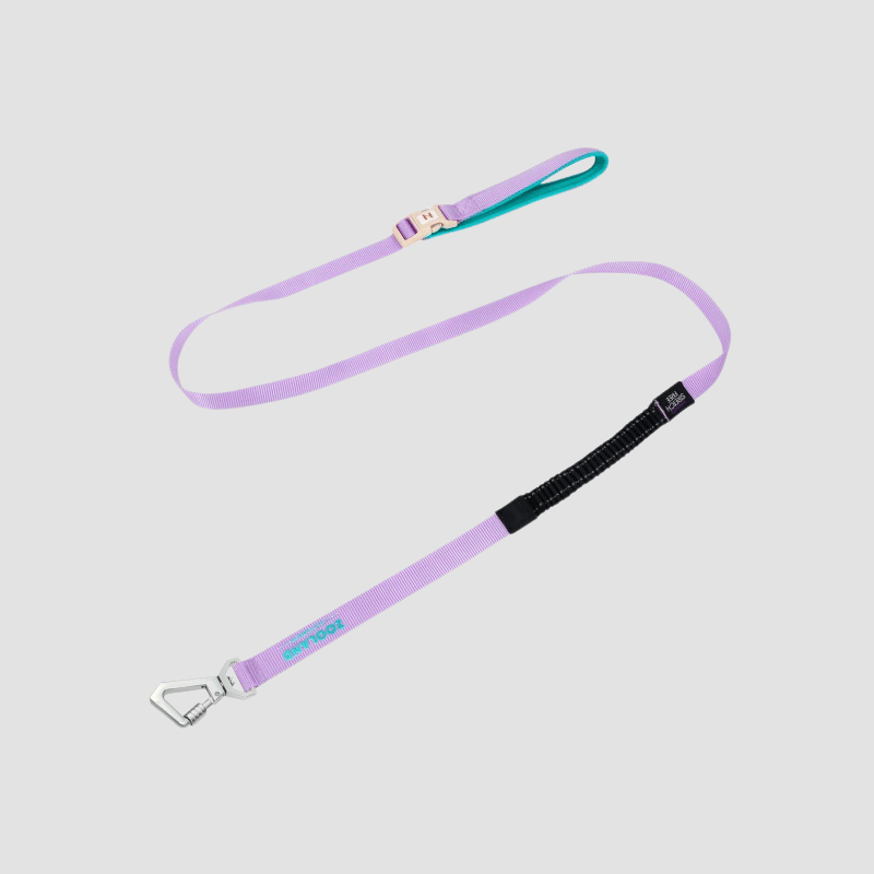 ultra cooling lightweight dog leash for summer walks