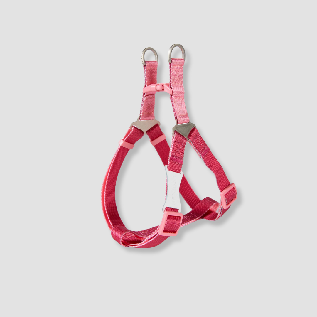 adjustable color block dog harness for walks Main image