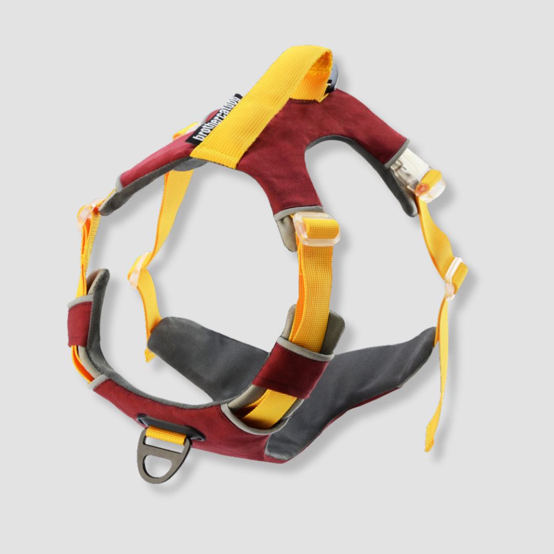 trailflex adjustable outdoor dog harness