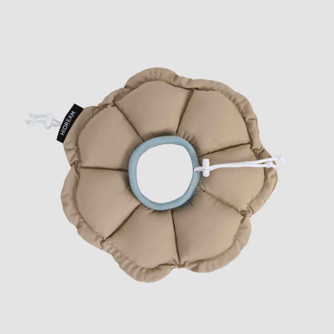 floral padded pet recovery cone collar
