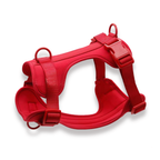 CloudFit Harness