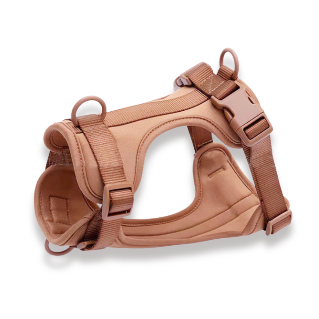 CloudFit Harness