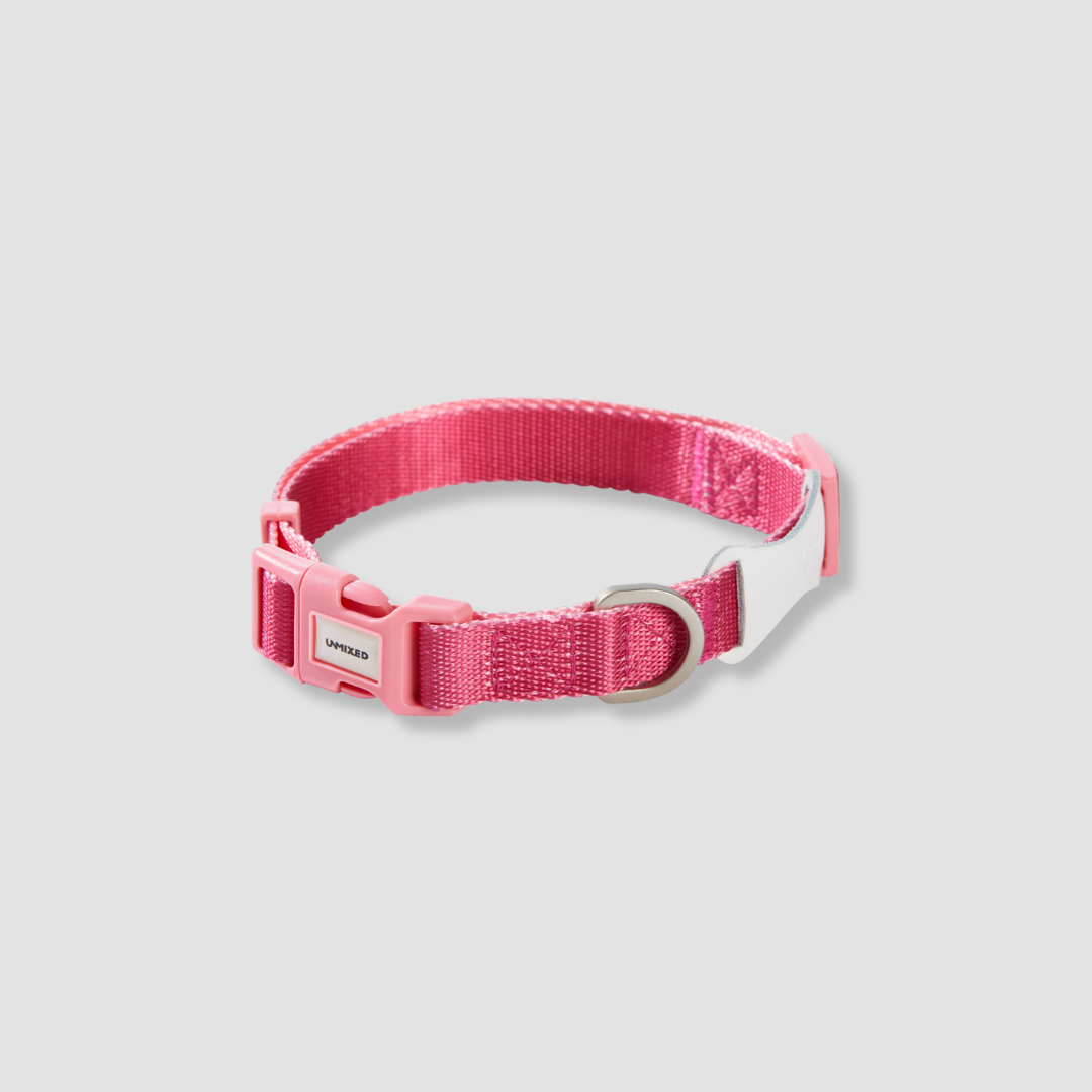 adjustable color block dog collar Main image