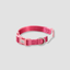 adjustable color block dog collar
