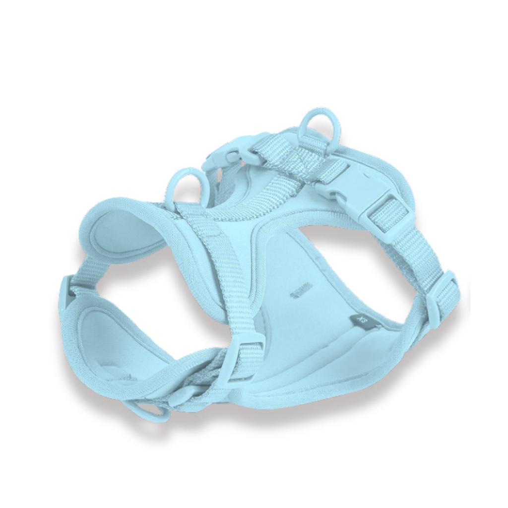 CloudFit Harness
