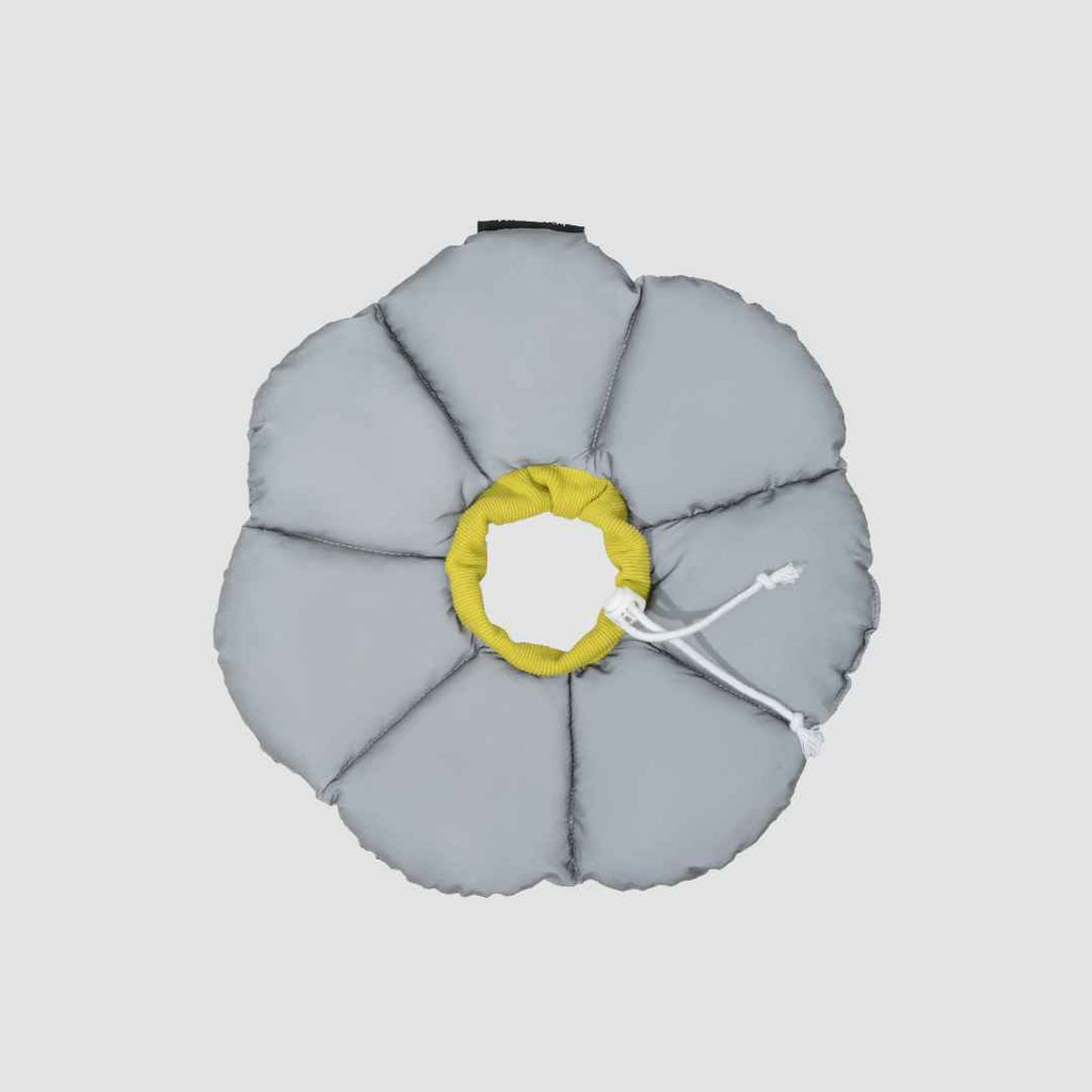 Floral Pet Cone Collar