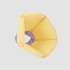 Pet Cone Collar