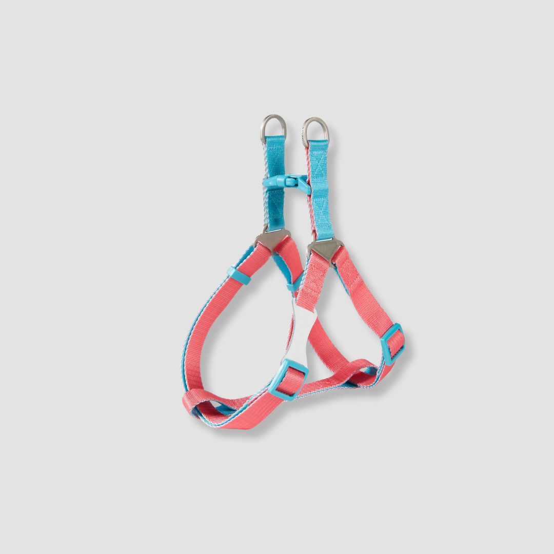 adjustable color block dog harness for walks
